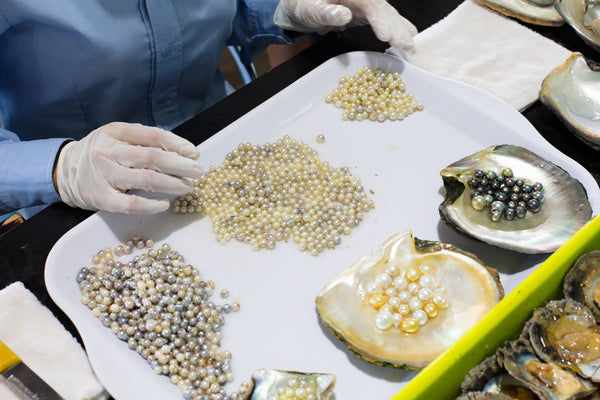How Are Pearls Formed? The Story of Our Favorite Accessory
