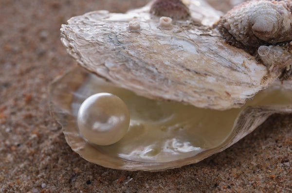 How Are Pearls Formed? The Story of Our Favorite Accessory