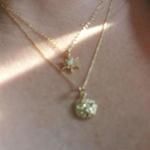 14K Solid Yellow Gold Sand Dollar Sea Star Starfish Necklace Chain Pendant Charm