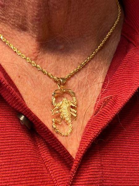 Scorpion pendant 