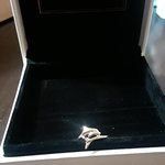 14K Solid Yellow Gold Sea Dolphin Ocean Fish Beach Nautical Ring