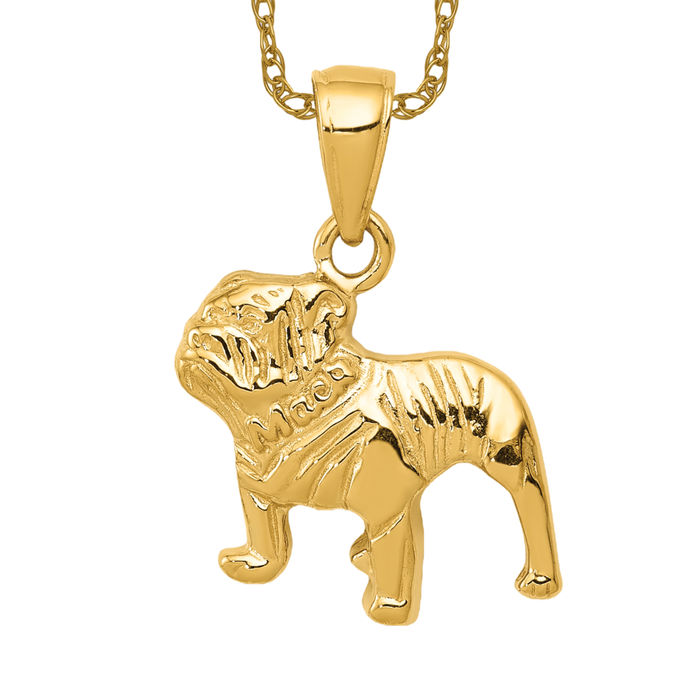 Collar Bulldog Oro Amarillo Macizo 10k - Imagen 11 de 12