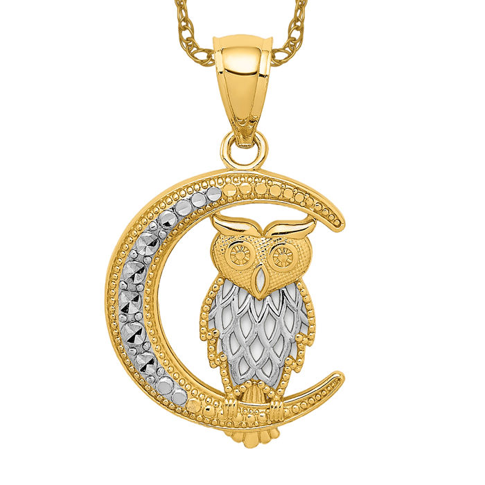 14K Solid Two Tone Gold Owl of Wisdom Bird Moon Necklace - Picture 10 of 12
