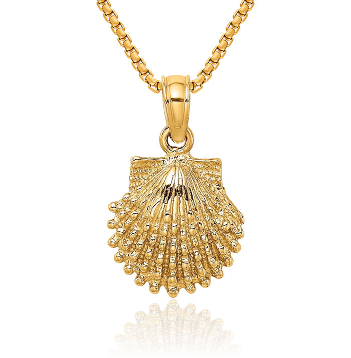 10K Solid Yellow Gold Beaded Scallop Shell Necklace Chain Pendant Charm