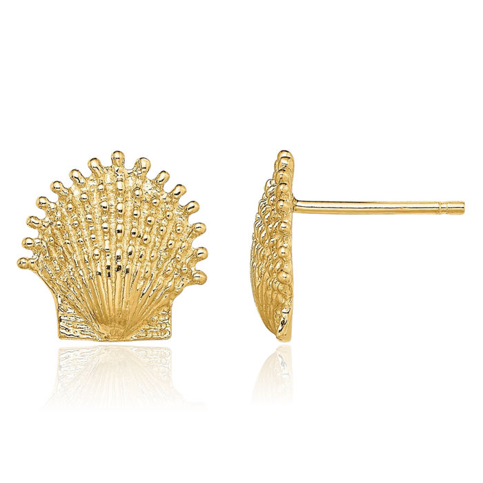 10K Solid Yellow Gold Beaded Scallop Shell Stud Earrings