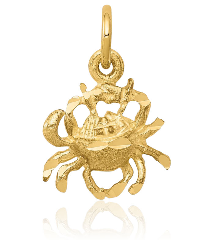 10K Solid Yellow Gold Crab Claw Necklace Chain Pendant Charm