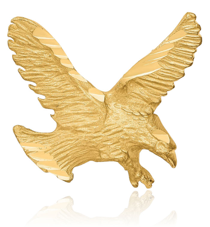 10K Solid Yellow Gold Eagle Symbol of Strength Freedom Hawk Bird Necklace Chain Pendant Charm