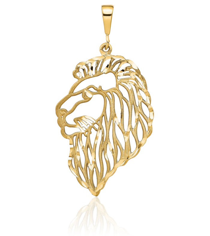 10K Solid Yellow Gold Lions Head Necklace Chain Pendant Charm