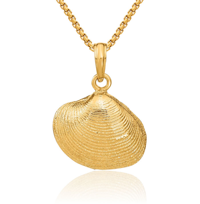10K Solid Yellow Gold Medium Clam Shell Necklace Chain Pendant Charm