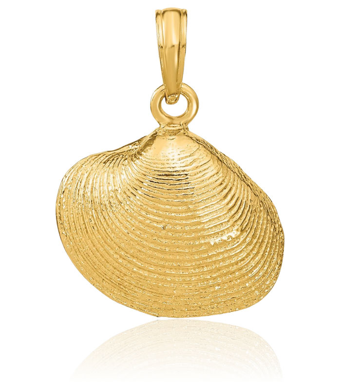 10K Solid Yellow Gold Medium Clam Shell Necklace Chain Pendant Charm