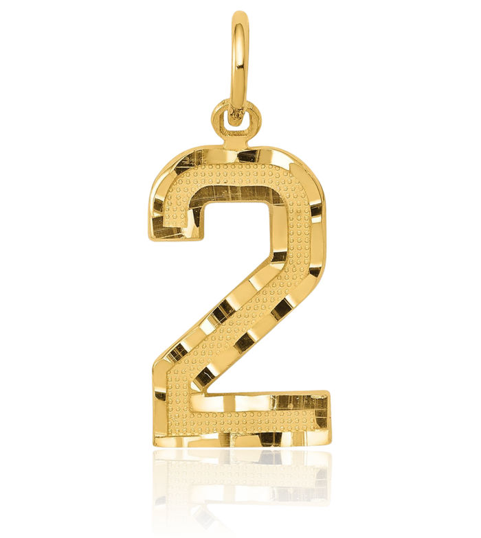 10K Solid Yellow Gold Medium Number 2 Necklace Chain Pendant Charm