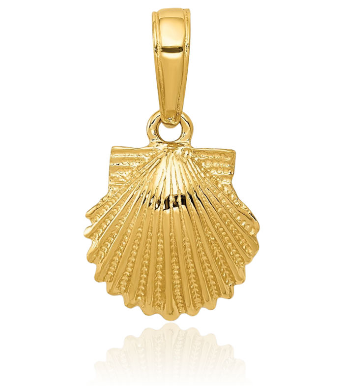 10K Solid Yellow Gold Scallop Shell Necklace Chain Pendant Charm