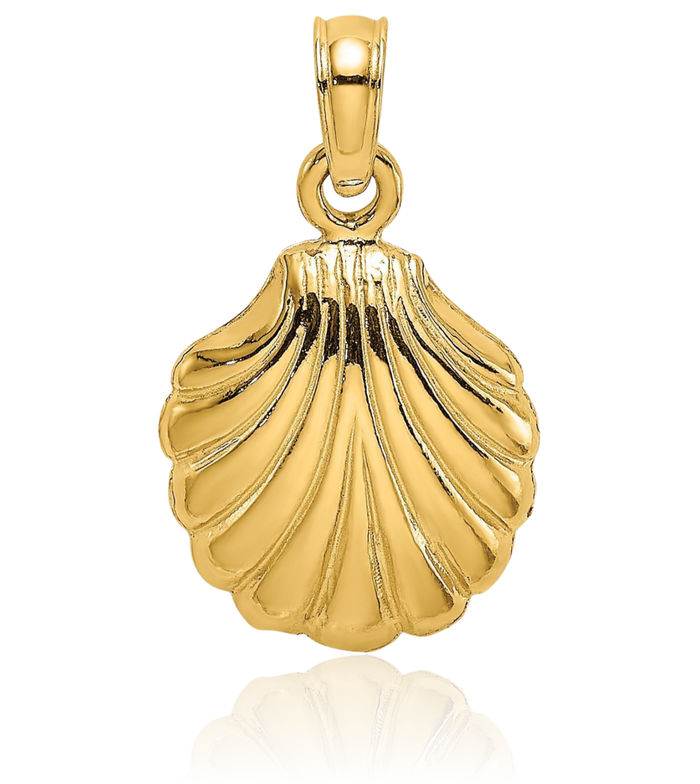 10K Solid Yellow Gold Scallop Shell Necklace Chain Pendant Charm