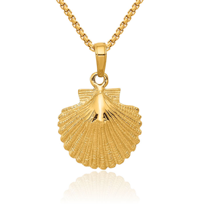 10K Solid Yellow Gold Scallop Shell Necklace Chain Pendant Charm