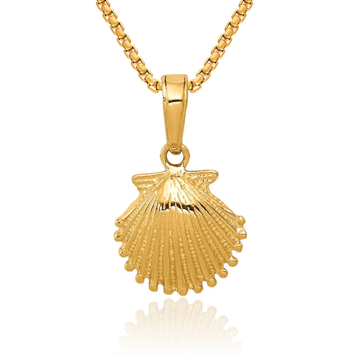 10K Solid Yellow Gold Scallop Shell Necklace Chain Pendant Charm