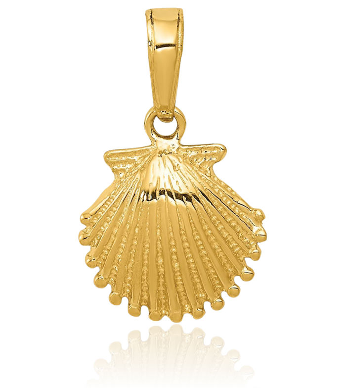 10K Solid Yellow Gold Scallop Shell Necklace Chain Pendant Charm