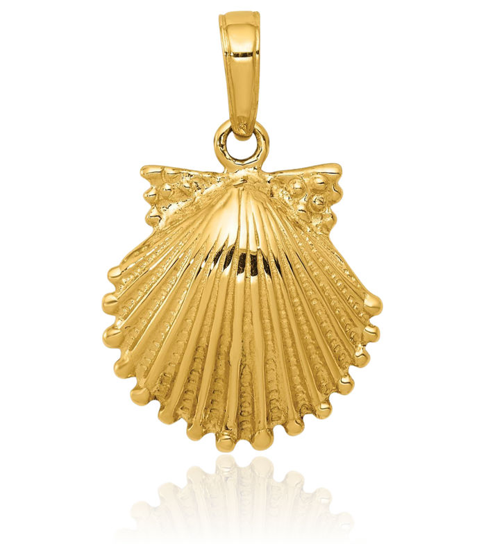 10K Solid Yellow Gold Scallop Shell Necklace Chain Pendant Charm