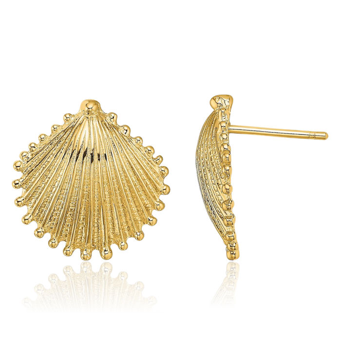 10K Solid Yellow Gold Scallop Shell Stud Earrings