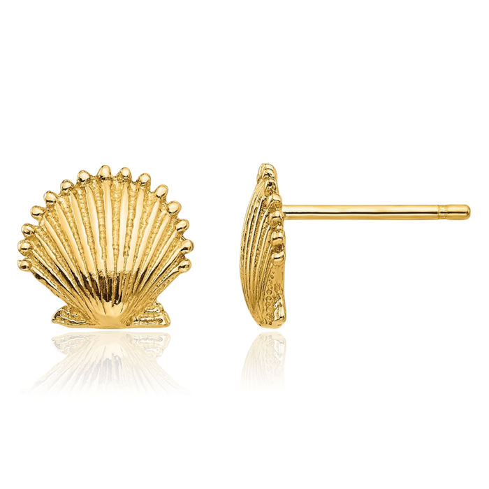10K Solid Yellow Gold Scallop Shell Stud Earrings