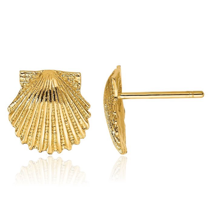 10K Solid Yellow Gold Scallop Shell Stud Earrings