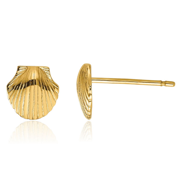 10K Solid Yellow Gold Scallop Shell Stud Earrings
