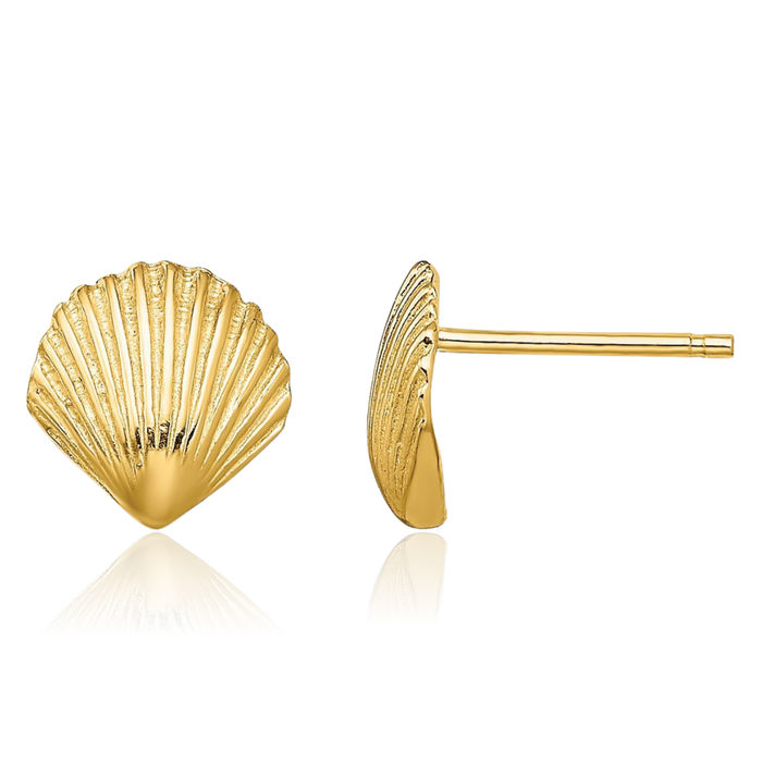 10K Solid Yellow Gold Scallop Shell Stud Earrings