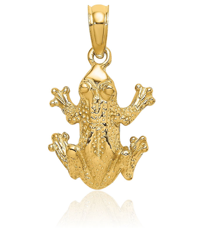 10K Solid Yellow Gold View Frog Necklace Chain Pendant Charm