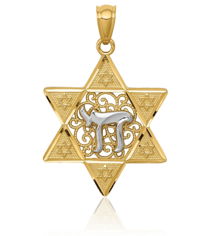 14K Solid Two Tone Gold Star of David Jewish Magen Chai Hebrew Necklace Judaica Religious Chain Pendant Israel Charm