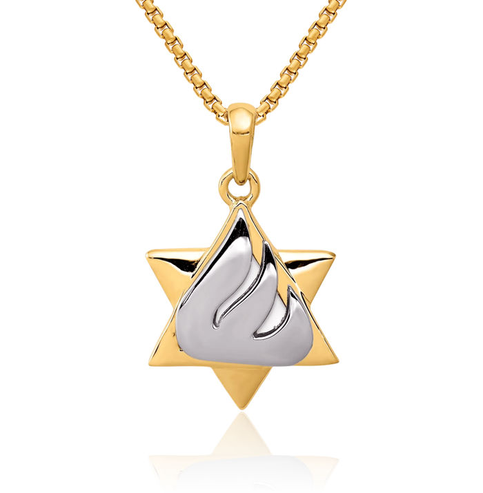 14K Solid Two Tone Gold Star of David Jewish Magen Necklace Judaica Religious Chain Pendant Israel Charm