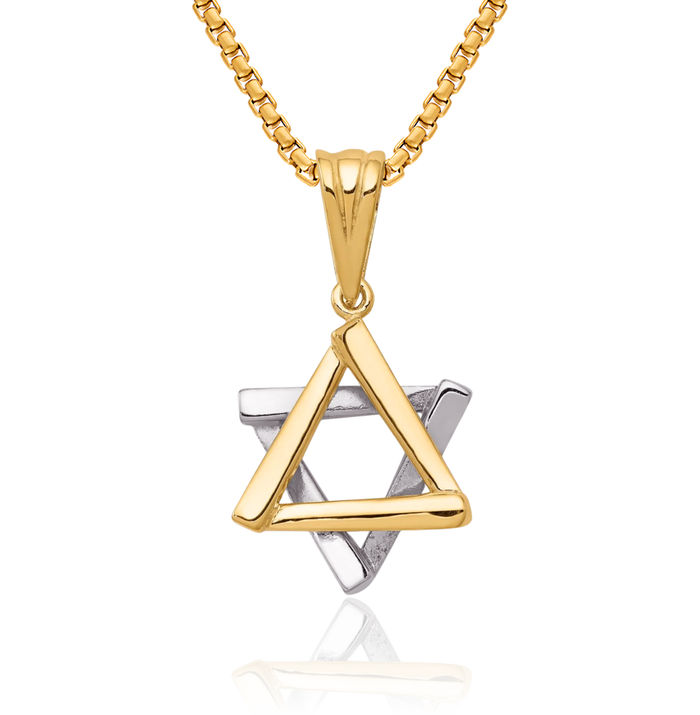 14K Solid Two Tone Gold Star of David Jewish Magen Necklace Judaica Religious Chain Pendant Israel Charm