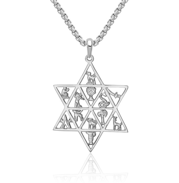 14K Solid White Gold 12 Tribes Star of David Jewish Magen Necklace Judaica Religious Chain Pendant Israel Charm