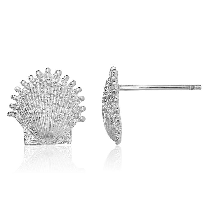 14K Solid White Gold Beaded Scallop Shell Stud Earrings