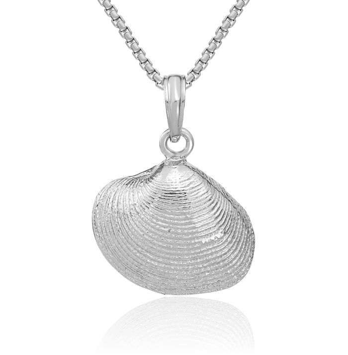14K Solid White Gold Medium Clam Shell Necklace Chain Pendant Charm