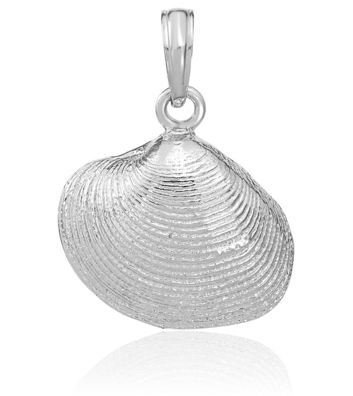 14K Solid White Gold Medium Clam Shell Necklace Chain Pendant Charm