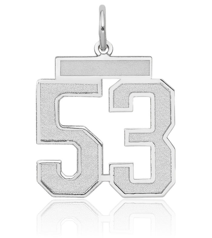 14K Solid White Gold Medium Number 53 Necklace Chain Pendant Charm