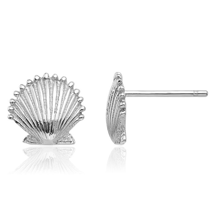 14K Solid White Gold Scallop Shell Stud Earrings