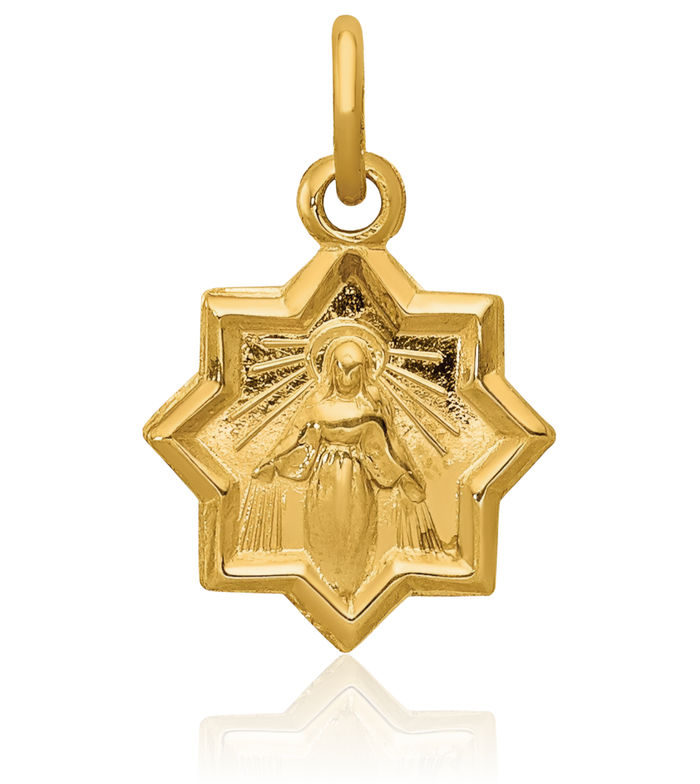 14K Solid Yellow Gold Blessed Mother Mary Medal Necklace Chain Pendant Charm