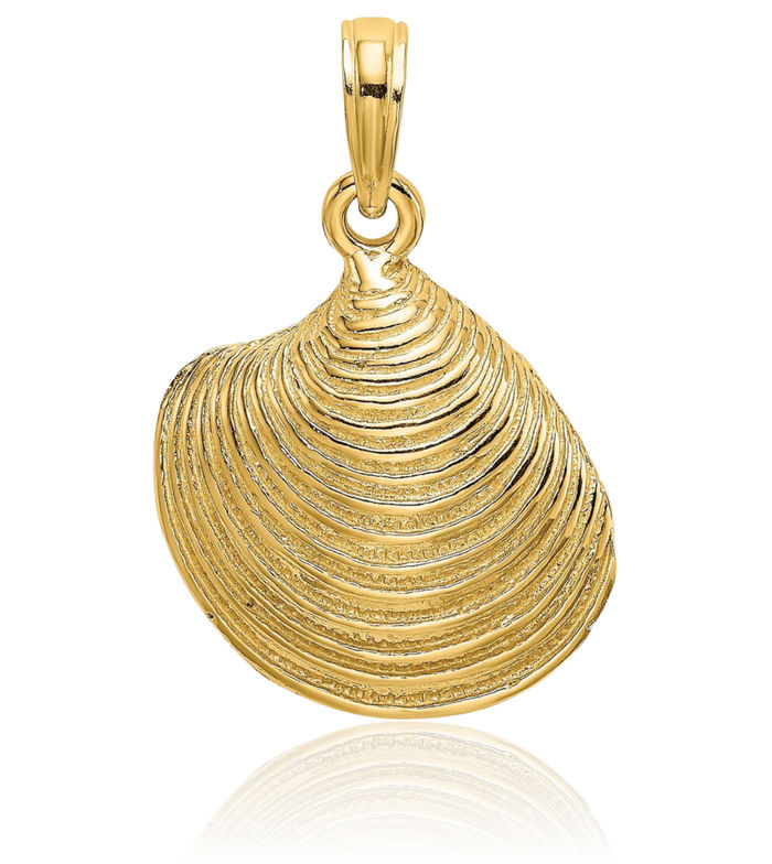 14K Solid Yellow Gold Clam Shell Necklace Chain Pendant Charm