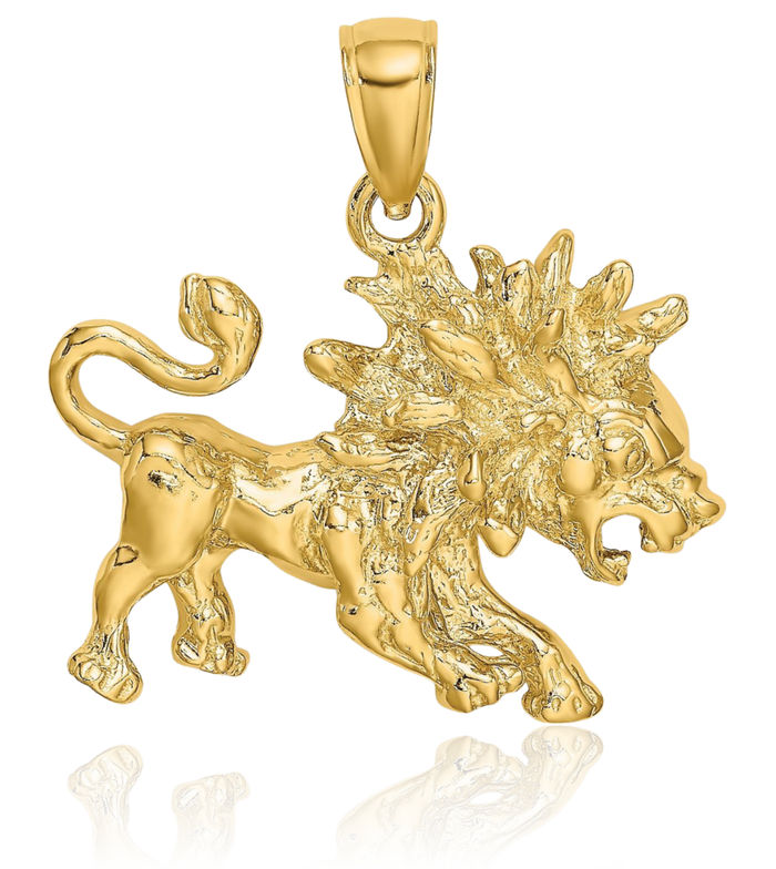 14K Solid Yellow Gold Leo Zodiac Necklace Lion Head Horoscope Pendant July August Birthday Charm Astrology Jewelry