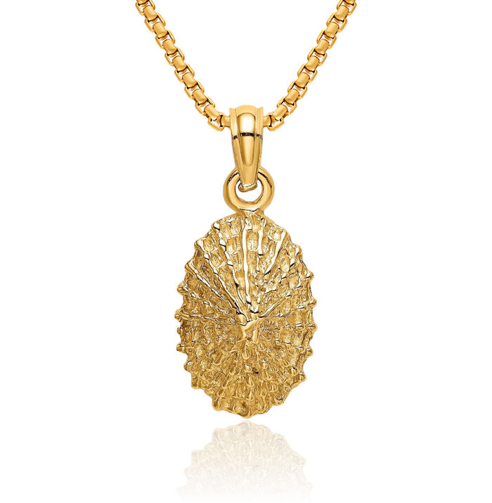 14K Solid Yellow Gold Limpet Shell Necklace Chain Pendant Charm