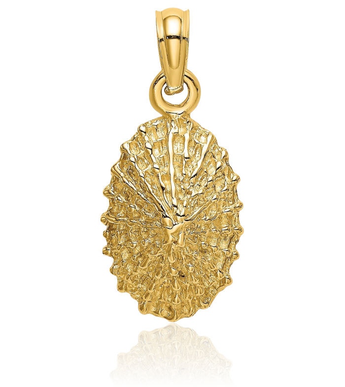 14K Solid Yellow Gold Limpet Shell Necklace Chain Pendant Charm