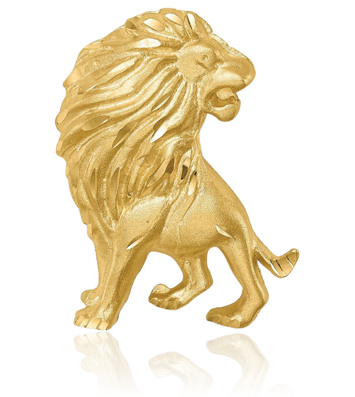 14K Solid Yellow Gold Lion Head Floating Chain Slide Pendant Necklace Charm