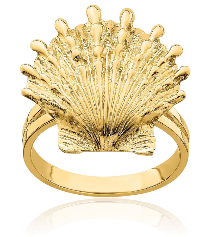 14K Solid Yellow Gold Lions Paw Scallop Shell Ring