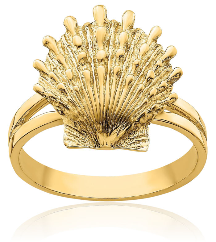 14K Solid Yellow Gold Lions Paw Scallop Shell Ring