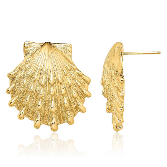 14K Solid Yellow Gold Lions Paw Scallop Shell Stud Earrings