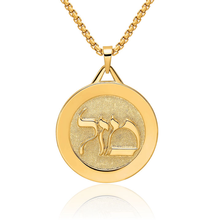 14K Solid Yellow Gold Mazel Symbol Disc Necklace Judaica Religious Chain Pendant Israel Charm