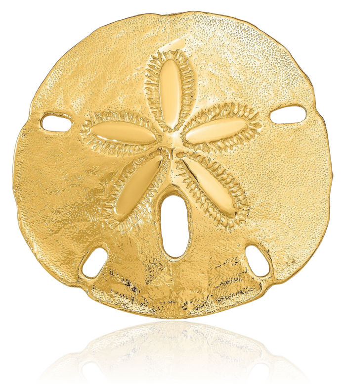 14K Solid Yellow Gold Medium Sand Dollar Sea Star Starfish Slide Necklace Chain Pendant Charm