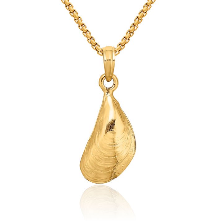 14K Solid Yellow Gold Mussel Shell Necklace Chain Pendant Charm