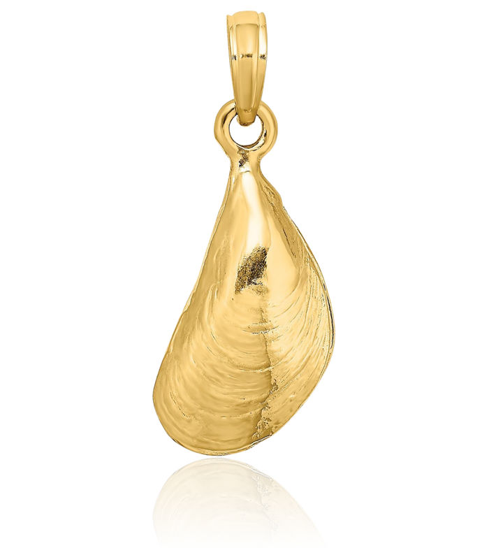 14K Solid Yellow Gold Mussel Shell Necklace Chain Pendant Charm