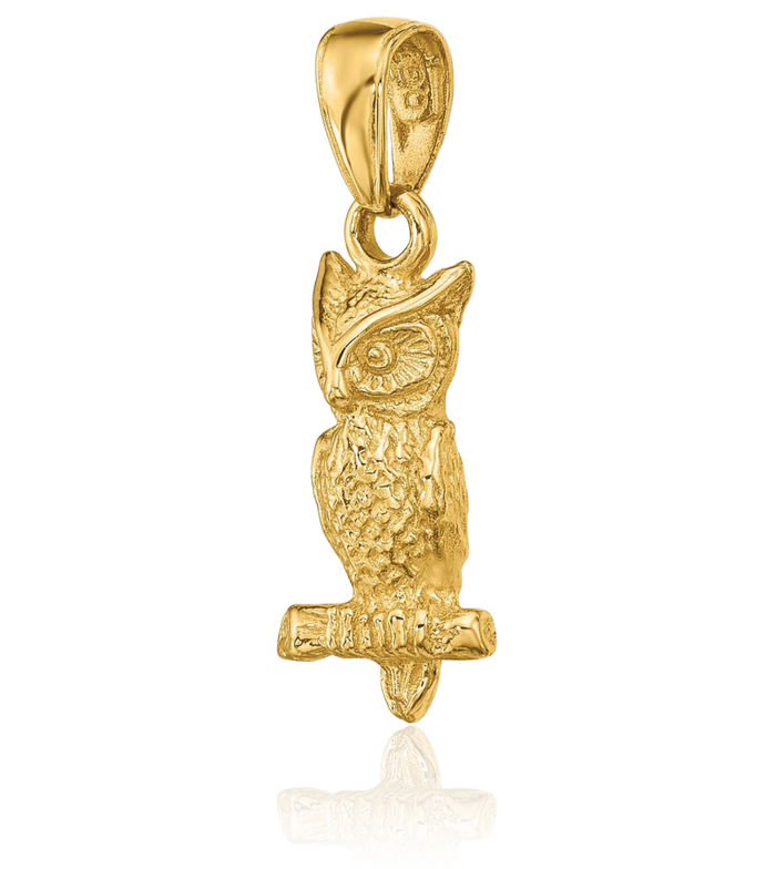 14K Solid Yellow Gold Owl Symbol of Wisdom Bird Necklace Chain Pendant Charm